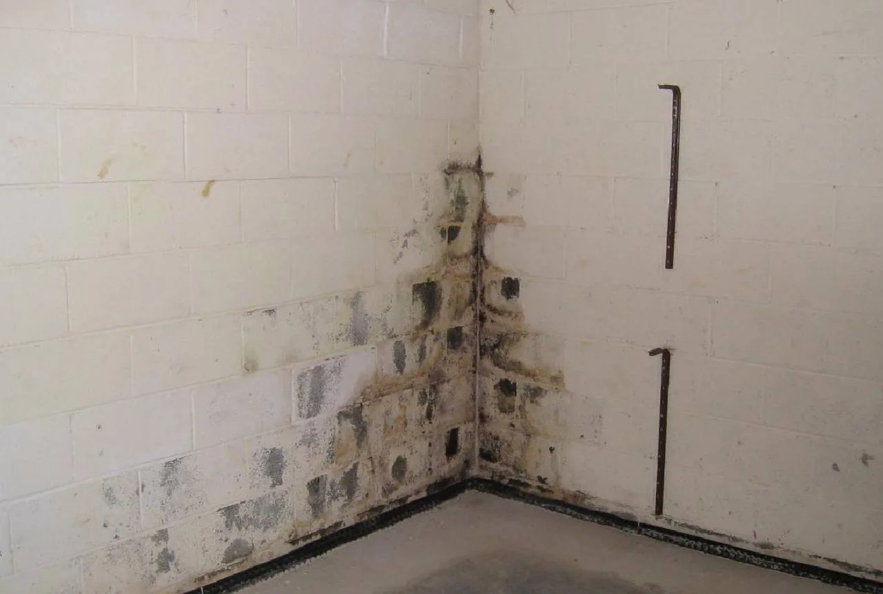 Concrete slab foundation being investigated for water damage at a Northwest Arkansas home